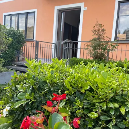 Al Gallo Cividale- Mansarda O Piano Terra